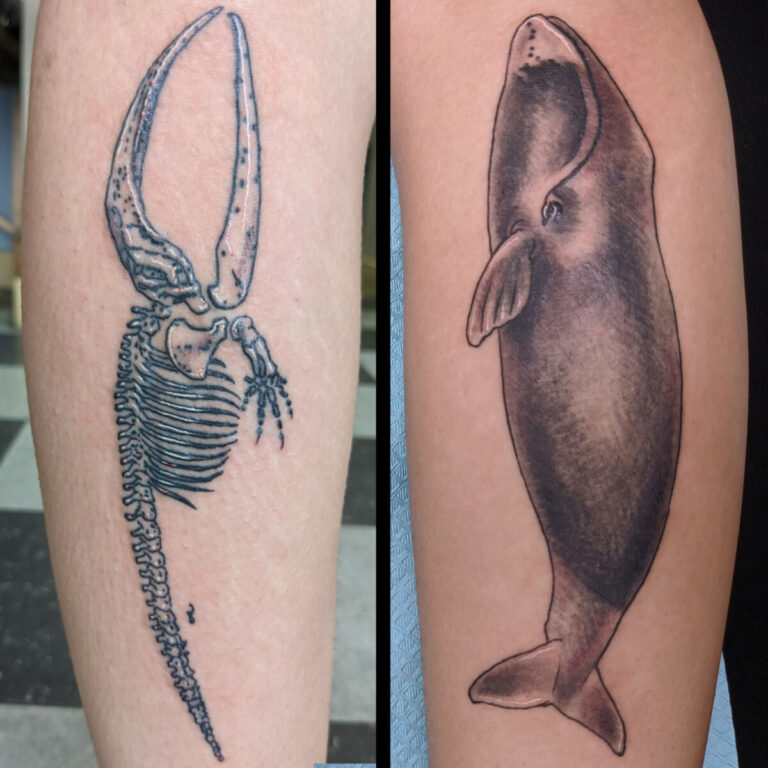 Share 75 whale skeleton tattoo latest  ineteachers